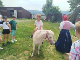 IMG_20260701_122419