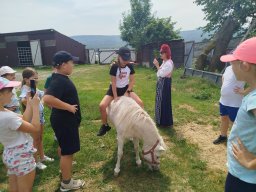 IMG_20260701_122446