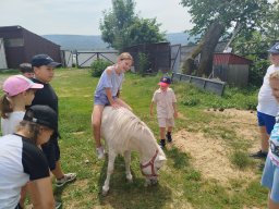IMG_20260701_122508