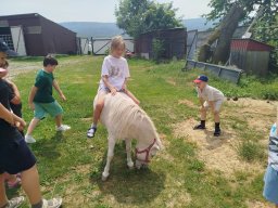IMG_20260701_122528