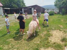 IMG_20260701_122630