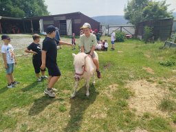 IMG_20260701_122652