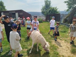 IMG_20260701_122751