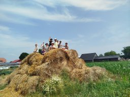 IMG_20260701_123534