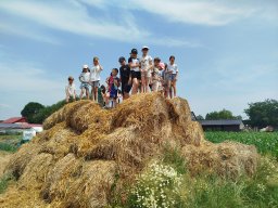 IMG_20260701_123555