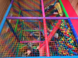 20260709_124211