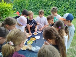 img_20260706_104950