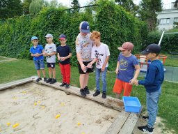 img_20260706_113120