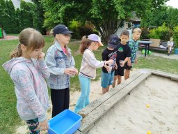 img_20260706_113123