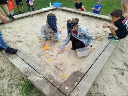 img_20260706_114146