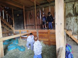 img_20260709_100315