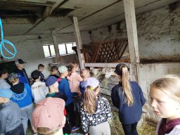 img_20260709_100809