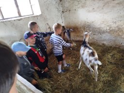 img_20260709_100851