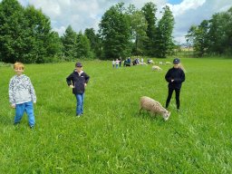 img_20260709_101738
