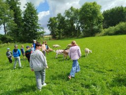 img_20260709_101807