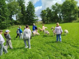 img_20260709_101809
