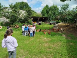 img_20260709_104406