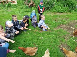 img_20260709_104438