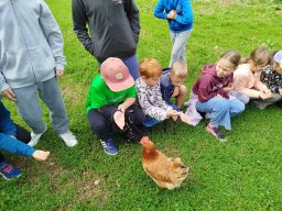 img_20260709_104502