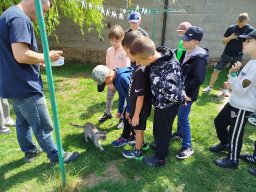 img_20260709_110119