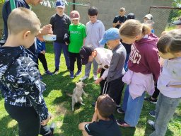 img_20260709_110149