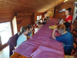 img_20260709_111533