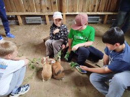 img_20260709_124237