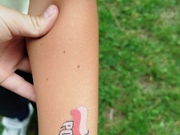img_20260713_125658