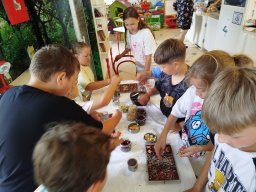 img_20260715_111232