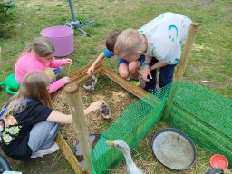 img_20260723_122519