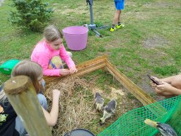 img_20260723_122532