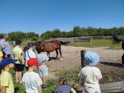 img_20260730_102048